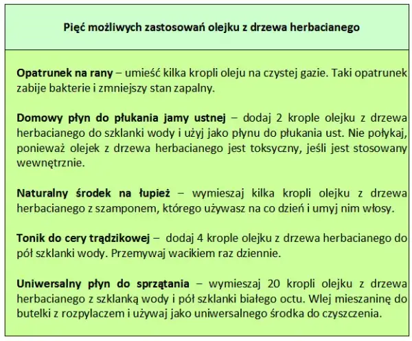 Do czego służy olejek z drzewa herbacianego? Poznaj jego mocne właściwości
