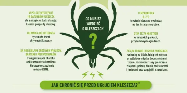 Kleszcze przenoszą boreliozę i kleszczowe zapalenie mózgu. Aktywne od marca do listopada, żyją w trawie, parkach i lasach.