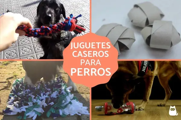 Perros disfrutando de juguetes caseros: un perro muerde una cuerda, otros juegan con rollos de cartón, un tapete de tela y una botella con premios.