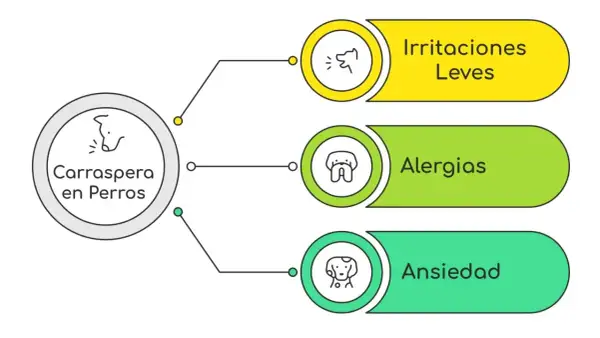 Diagrama sobre carraspera en perros: irritaciones leves, alergias y ansiedad. Mi perro tose como si tuviera algo en la garganta.