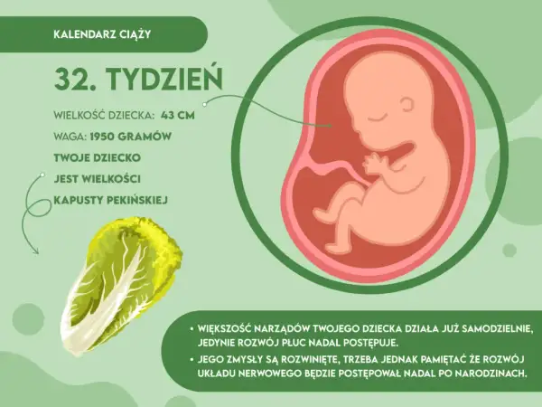 Waga dziecka w 32 tygodniu ciąży: Zaskakujące fakty o rozwoju płodu