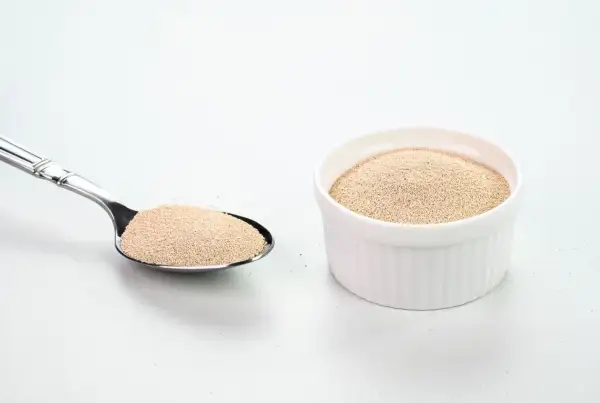 Levure sèche dans une cuillère et un ramequin blanc. Comprendre la différence entre levure chimique et bicarbonate de soude est essentiel pour la pâtisserie.