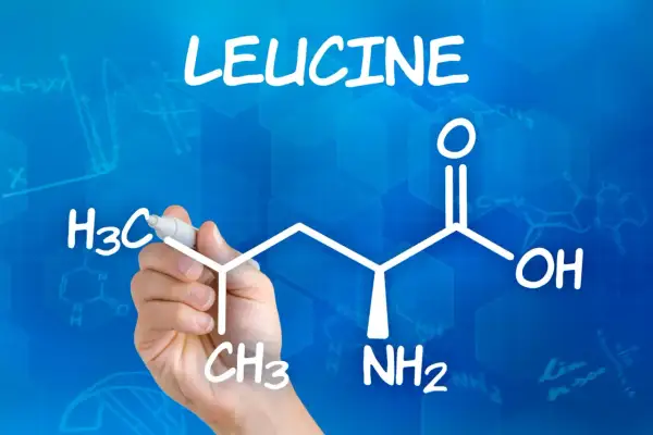 La mano disegna la formula della leucina, un amminoacido essenziale. Quanta leucina al giorno è ottimale per la crescita muscolare?
