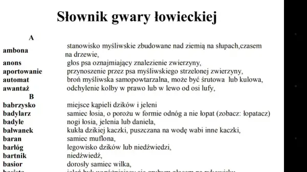 Gwara łódzka słownik: dlaczego mówimy "migawka" i "robion"?