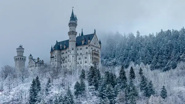 Neuschwanstein slott reser sig majestätiskt ur en snötäckt skog. En sagolik vy i vinterlandskap.