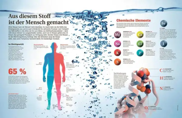 Der Mensch besteht zu 65% aus Wasser und zu 18% aus Kohlenstoff. Weitere Elemente wie Sauerstoff, Stickstoff und Wasserstoff sind essenziell.