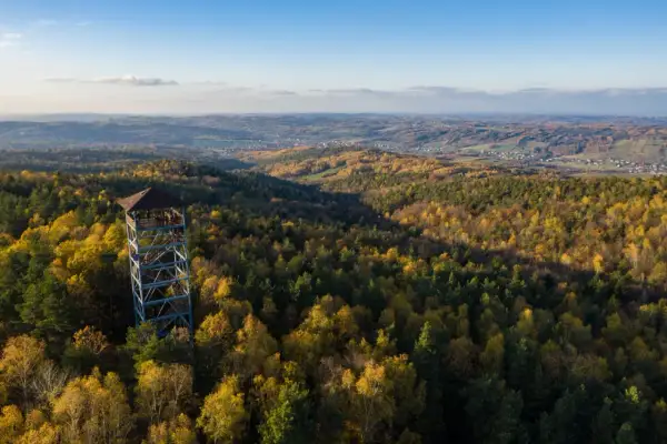 Iwkowa wieża widokowa góruje nad jesiennym lasem, oferując zapierający dech w piersiach widok na pagórkowaty krajobraz.