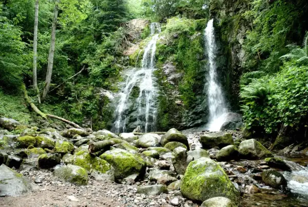 La cascade du Heidenbad dévale une falaise rocheuse verdoyante, entourée d'une forêt luxuriante. Des rochers moussus bordent le cours d'eau en contrebas.