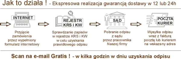 Odpis KRS co to jest i jak może uratować Twoją firmę