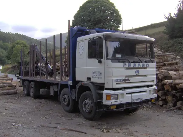 Camion Pegaso blanc avec grue, chargé de bois, garé près d'une pile de troncs.