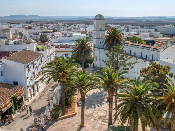 Vista aérea de Conil de la Frontera con palmeras y edificios blancos. Ideal para saber qué hacer en Conil de la Frontera.