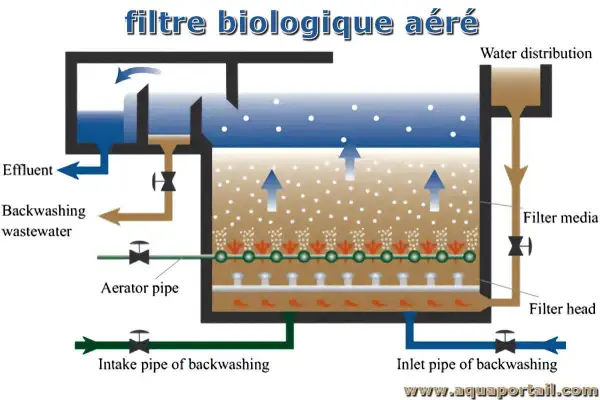 Schéma d'un filtre biologique aéré montrant le flux d'eau, les médias filtrants et le système d'aération pour une purification efficace.