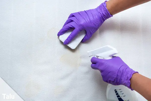 Mit lila Handschuhen wird erbrochenes aus Sofa entfernen hausmittel angewendet. Ein Schwamm tupft die Flecken, während eine Sprühflasche daneben steht.