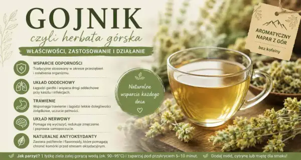 Gojnik właściwości: wsparcie odporności, układu oddechowego, trawienia, nerwowego. Naturalny antyoksydant. Aromat z gór, bez kofeiny.