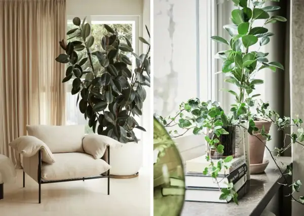 Mysig inredning med stora gröna blommor som ger liv åt rummet. En bekväm fåtölj står bredvid en stor fikus.