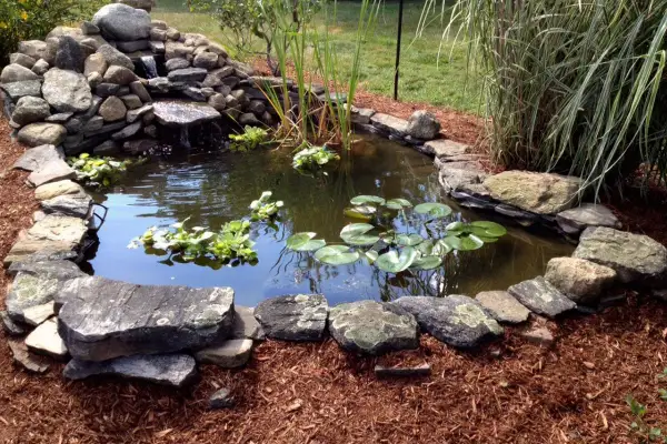 Un bassin préformé avec une cascade rocheuse, des nénuphars et des plantes aquatiques. Les bords sont dissimulés par des pierres naturelles et du paillis.