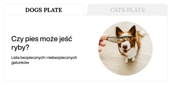 Pies patrzy z nadzieją na suszoną rybkę. Dowiedz się, jakie ryby dla psa są bezpieczne.