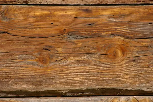 Słoje drewna tworzą piękny, naturalny wzór. Widoczne są sęki i pęknięcia, nadające mu charakterystyczny efekt starego drewna.