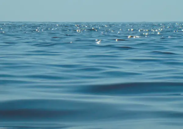 Błękitne fale Bałtyku, gdzie zasolenie jest niższe niż w oceanach, odbijają światło.