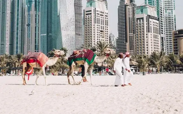 Czy w Dubaju jest bezpiecznie? Fakty o przestępczości i ochronie w mieście
