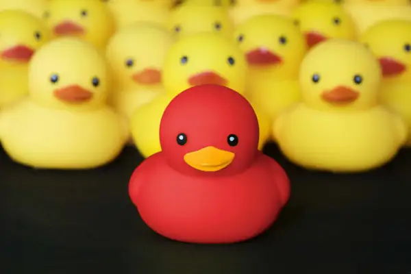 Un patito feo rojo destaca entre una multitud de patitos amarillos, todos listos para un baño.