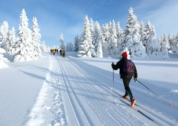 Skilanglauf in Deutschland: Eine Gruppe Langläufer genießt die verschneite Winterlandschaft mit tiefen Spuren im Schnee.