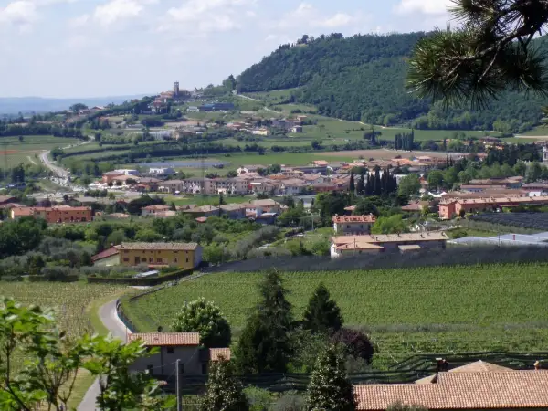 Panoramica di Affi, con case dai tetti rossi, vigneti e colline verdi. Un luogo incantevole da esplorare.
