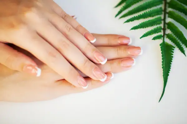 Eleganckie paznokcie french jesienny, delikatnie ułożone dłonie obok zielonego liścia paproci.