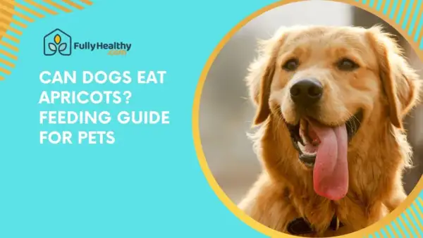 A happy golden retriever's face is shown, with text asking "Can dogs eat apricots?".