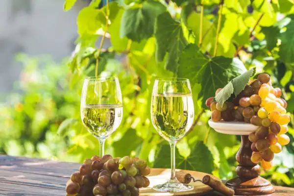 Deux verres de vin blanc frais, des grappes de raisins et un tire-bouchon sur une table en bois, parfait pour une visite à Saint-Émilion.