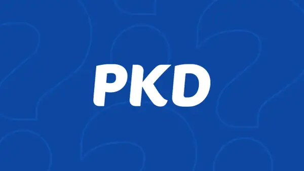 Jak dodać PKD przez internet - uniknij błędów i zrób to łatwo