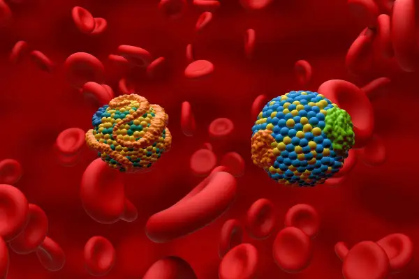 Dwie kolorowe lipoproteiny unoszą się wśród czerwonych krwinek. Dowiedz się, jak obniżyć poziom cholesterolu.