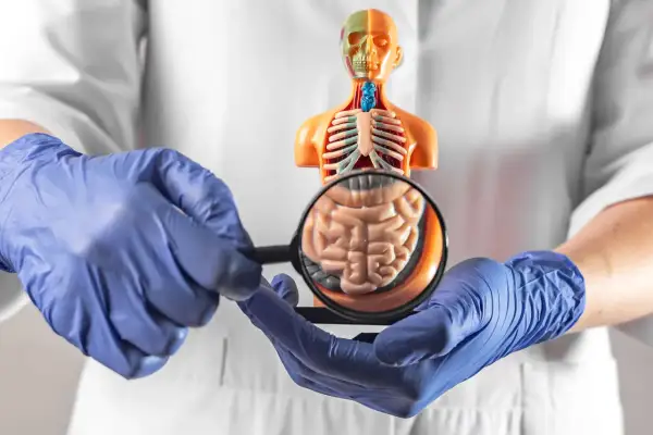 Arzt untersucht Modell des menschlichen Körpers mit Lupe, um neuroendokriner Tumor Symptome zu erkennen.