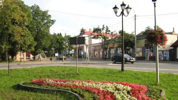 Kwiatowa rabata i uliczny krajobraz Sokołowa Podlaskiego. Atrakcje miejskie w letnim słońcu.