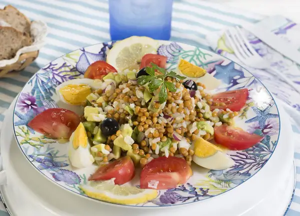 Deliciosa ensalada de lentejas y arroz con huevo duro, tomate, aguacate y aceitunas, servida en un plato con motivos marinos.