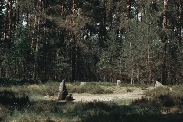 Kamienne kręgi w lesie, tajemniczy szlak kamiennych kręgów, gdzie historia splata się z naturą.