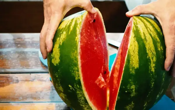 Hände teilen eine saftige Wassermelone. Ist Wassermelone gesund? Ja, sie ist voller Wasser und Vitamine!