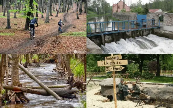 Dąbrowa Górnicza: Odkryj zielone serce Zagłębia atrakcje na weekend!