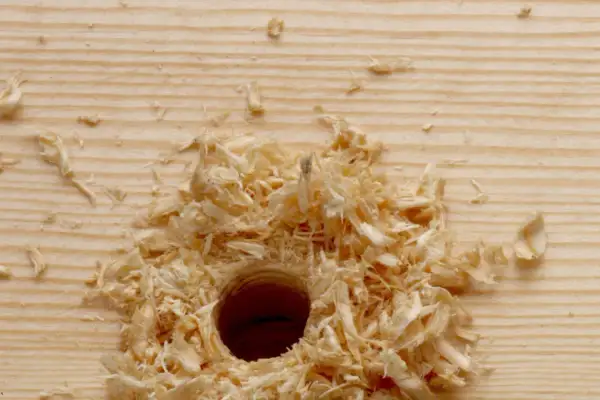 Sciure de bois autour d'un trou fraîchement percé dans une planche de pin. Il faudra reboucher ce trou bois pour repercer ailleurs.