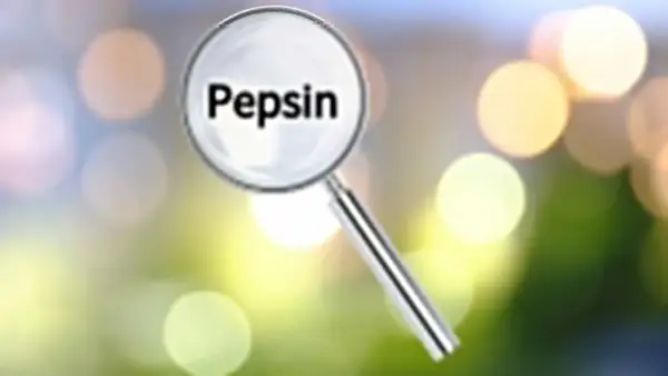 Lupa powiększa napis "Pepsyna". Co to jest pepsyna? To enzym trawienny.