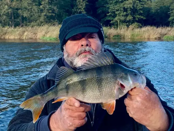 Ein Angler hält stolz einen schönen Barsch in den Händen. Das Wasser des Barther Bodden glitzert im Hintergrund.