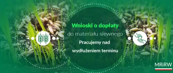 Wnioski o dopłaty do materiału siewnego. Pracujemy nad wydłużeniem terminu. Wschodzące ziarna symbolizują przyszłe plony.
