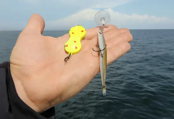 Köder für Steinbutt angeln Ostsee: ein gelber Wobbler und ein kleiner Fisch als Köder.