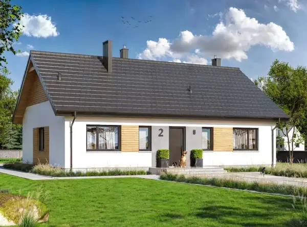 Nowoczesny dom jednorodzinny, projekt domu Tracja 2, z dużym ogrodem i psem przed wejściem.