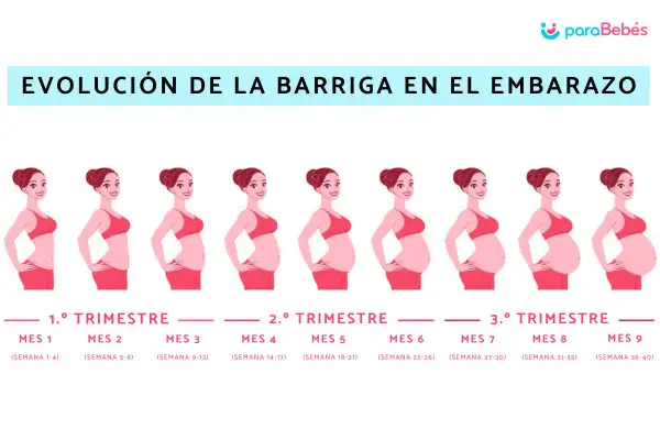 Ilustración muestra la evolución barriga embarazo mes a mes, desde el primer al noveno mes.