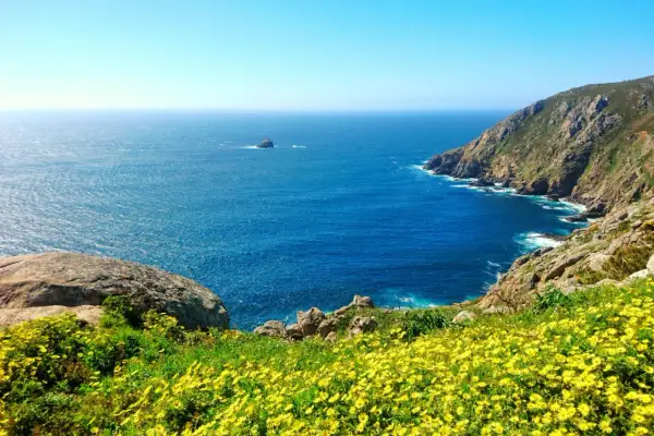 Un mar azul intenso baña las costas rocosas de Finisterre. Flores amarillas cubren la ladera, invitando a soñar con sus playas salvajes.