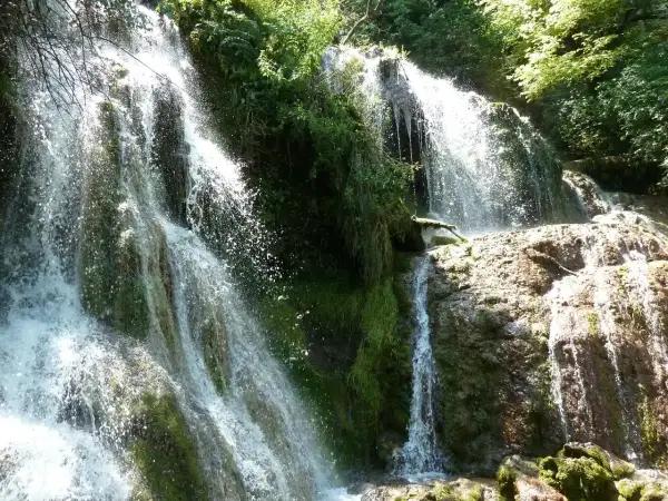 Cascada exuberante, ideal para saber qué visitar en Bulgaria. El agua cae sobre rocas cubiertas de musgo y vegetación frondosa.
