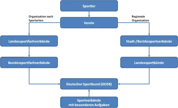 Organigramm des deutschen Sports: Sportler, Vereine, Fachverbände und der DOSB als Dachorganisation.