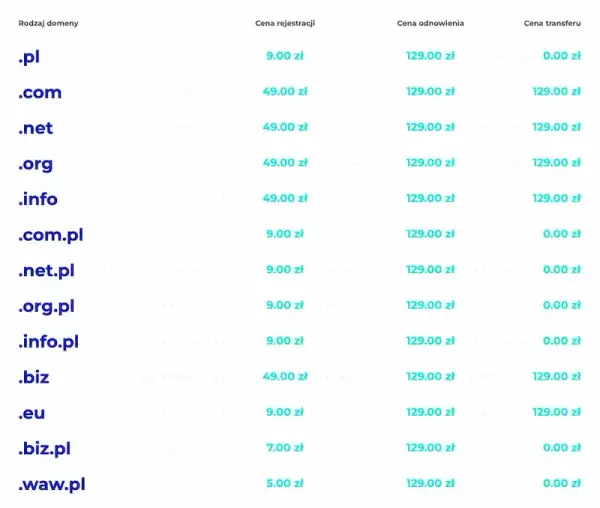 Domena internetowa: Twój adres w sieci. Jak działa i ile kosztuje?