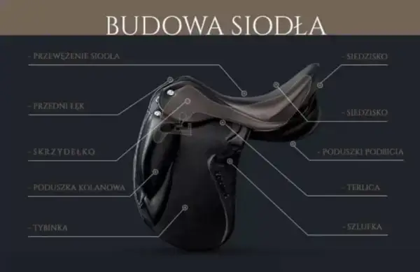 Z czego składa się siodło? Kluczowe elementy, które musisz znać